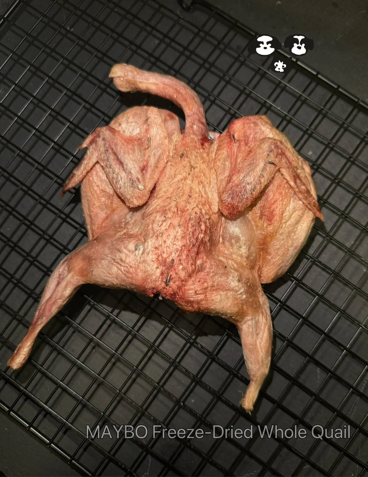 Quaglia intera jumbo liofilizzata, snack naturale singolo per cani