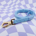 Hellblaue wasserdichte PVC-Hundeleine mit goldenem Karabinerverschluss